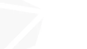 white-and-grey-logo-DGSHAPE